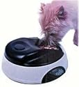 Automatic Pet Feeder