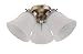 31A%2BweTm4SL. SL75  Year Round Ceiling Fans