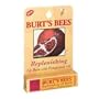 Burt's Bees Lip Balm-Pomegranate