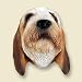 Conversation Concepts Petit Basset Griffon Vendéen Dog Magnet Dm113