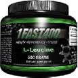1Fast400 L-Leucine powder, 500 grams