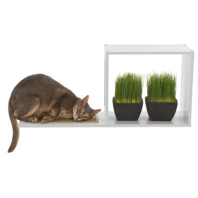 Reviews The Sophia Wall Mounted Cat Tree In White Isabelciantarzxl