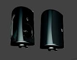 Definitive Technology AW 6500 Outdoor Speaker (Single, Black)