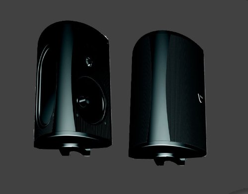 Definitive Technology AW 6500 Outdoor Speaker (Single, Black)