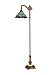 Osmond Downbridge Floor Lamp in Antique Brass