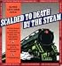 Scalded to Death by the Steam: Authentic Stories of Railroad Disasters and the Ballads That Were Written About Them