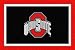 Ohio State Buckeyes Area Rug