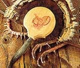Quaker Boy Turkey Hunting Fan Mount Kit