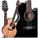 Takamine EG540DLX NEX Cutaway Ac/El Guitar Black