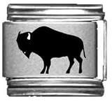 Clearly Charming Buffalo Laser Italian Charm