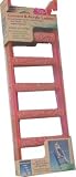 5 Step Cement Ladder w/Acrylic Frame - Asst. Colors - 16L