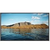 46IN LCD 1800:1 1366X768 LCD4620-2-IT Dvi-d 15PIN D Sub Bnc