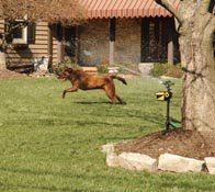 SCC1 ScareCrow Motion Activated Sprinkler