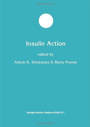 Insulin Action (Developments in Molecular and Cellular Biochemistry)