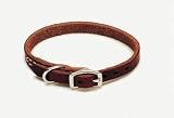 Coastal Pet Circle T Latigo Leather Town Dog Collar (10 Inch L x 3/8 Inch W)