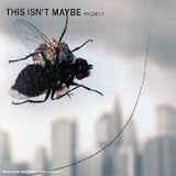 Waldeck -  This Isn't Maybe