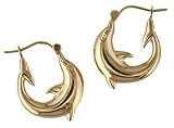 Dolphin Hoop
