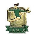 Level 6 Gymnastics Pin