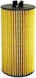 Hastings LF558 Lube Element