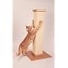 Ultimate Scratch Post