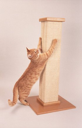 Childrens Toyshop  Pet Supplies : Ultimate Scratch Post