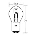 Birne 12V 35/35W BA20D