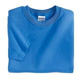 NEW Gildan Ultra Cotton - Youth 100% Cotton T-Shirt Iris-L