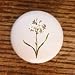 FLOWERS POETS JASMINE FLOWER DRAWER PULLS KNOBS