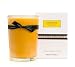 Paddywax - Classic Mango Cilantro