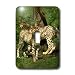 Wild animals - Cheetah - Light Switch Covers - single toggle switch Image