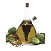 Norpro Grape/Oil/Vinegar Cruet