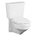 Crane 3217 Wall Mount Elongated Toilet Bowl with Tank - White