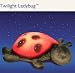 Cloud B Twilight Ladybug