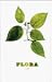 cover of Flora