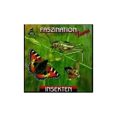 Insekten (Faszination Tiere)