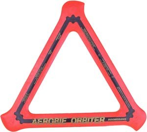 Childrens Toyshop  Toys : Aerobie Boomerang