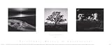 Trilogy III Photography Art Poster Print by Ansel Adams, 20x8