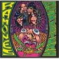 Acid Eaters