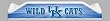 Kentucky Wildcats - Beach Pole Caddy