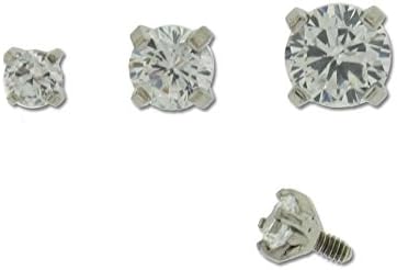 Stainless Steel Dermal Anchor with Clear Top