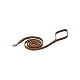 UPC 800443068830 product image for Petco Leather 6' Dog Leash in Copper | upcitemdb.com
