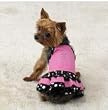 Dog Dress - Parisian Pet Sundress - XX-Small (XXS)