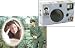 Electronics : ELVIS PRESLEY LOVE ME TENDER DREAM DISPOSABLE CAMERA