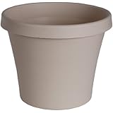 Fiskars 8 Inch TerraPot Planter, Pepperstone
