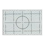 Nikon F100 Focusing Screen Type E
