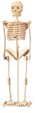Toys : Skeleton - Woodcraft Construction Kit
