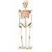 Skeleton - Woodcraft Construction Kit