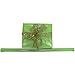 JAM Paper® Solid Color Wrapping Paper - 12.5 Sq Ft - Lime Green - Glossy Wrapping Paper Roll - Sold Individually