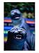 Scupltures at Haw Par Villa Tiger Balm Gardens, Singapore, Singapore Photographic Poster Print by Phil Weymouth, 24x32 Image