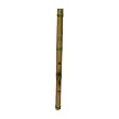 Shakuhachi, "DD"